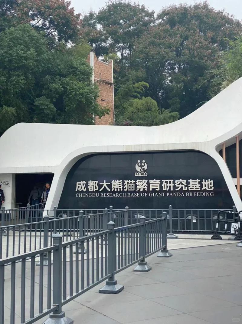 Công viên gấu trúc Thành Đô: Vị trí, điểm thu hút, kinh nghiệm du lịch và chọn tour