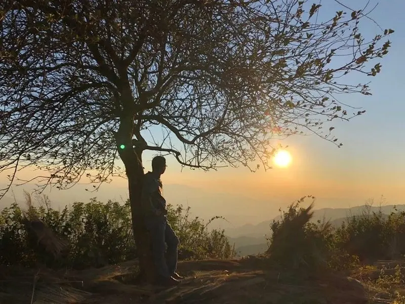 Cây cô đơn Tà Xùa: Vị trí, điểm nổi bật, kinh nghiệm du lịch & công ty uy tín