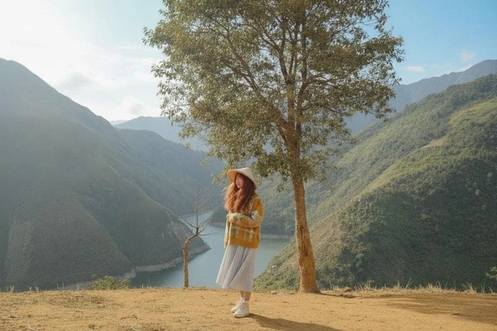 Cây cô đơn Tà Xùa: Vị trí, điểm nổi bật, kinh nghiệm du lịch & công ty uy tín