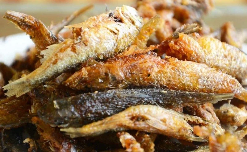 Mộc Châu mùa hoa mận: Vị trí, điểm thu hút, kinh nghiệm du lịch và chọn tour