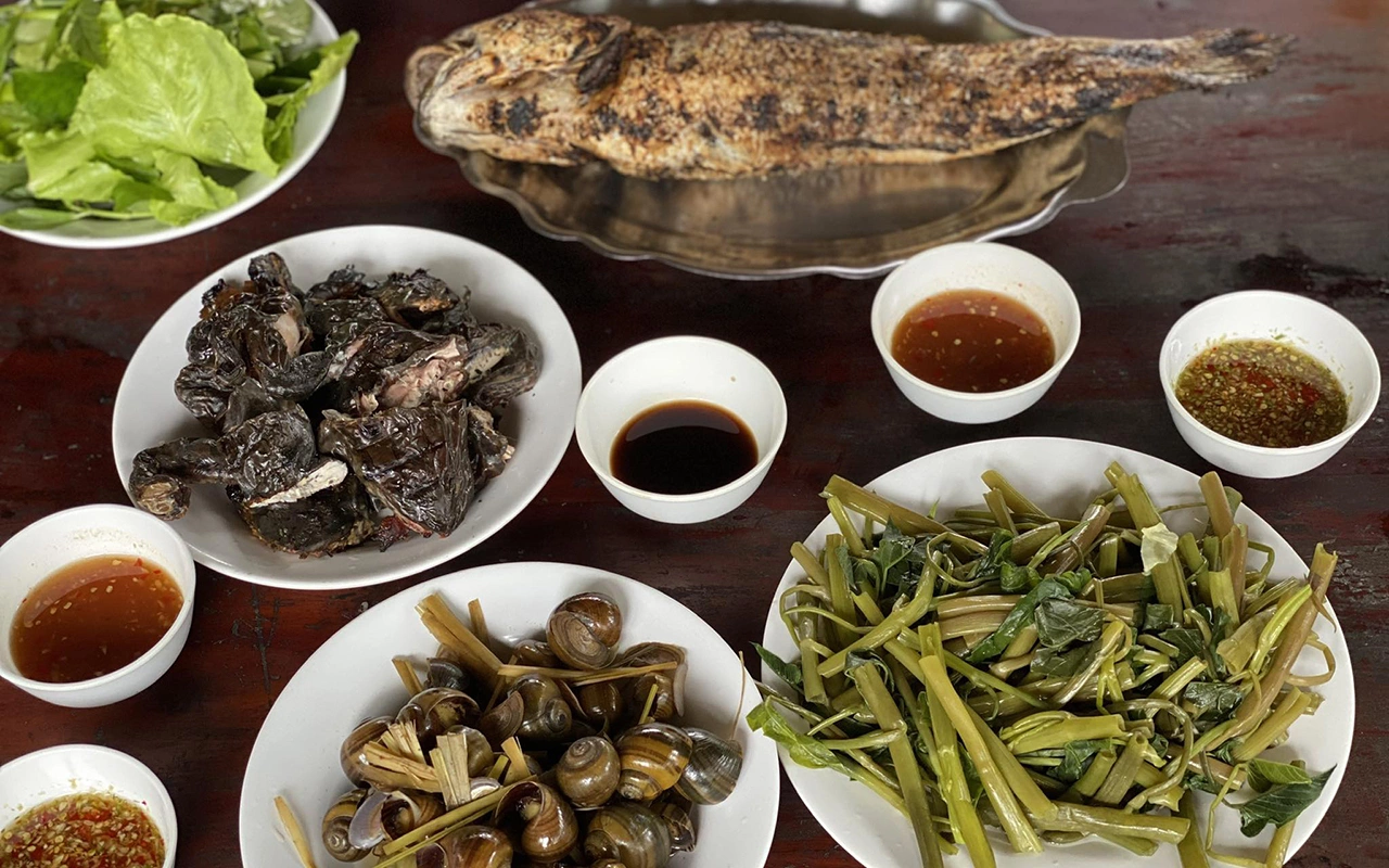 Cẩm nang du lịch rừng tràm Trà Sư 2026: Vị trí, điểm nổi bật, kinh nghiệm đi & đơn vị uy tín