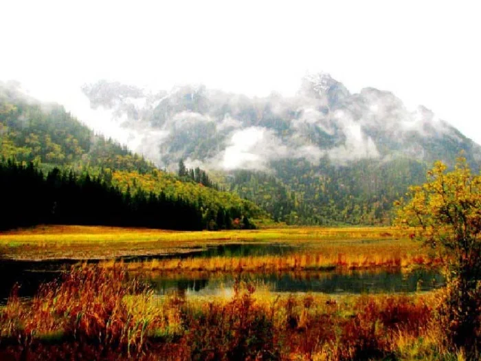 Núi Tuyết Ngọc Long Lệ Giang: Khám phá vùng đất tuyết đẹp nhất Trung Quốc