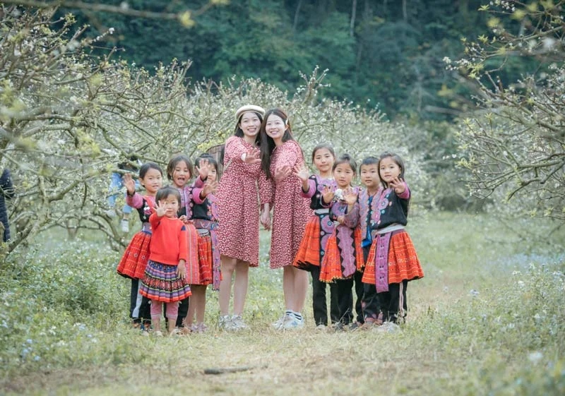 Mộc Châu mùa hoa mận: Vị trí, điểm thu hút, kinh nghiệm du lịch và chọn tour