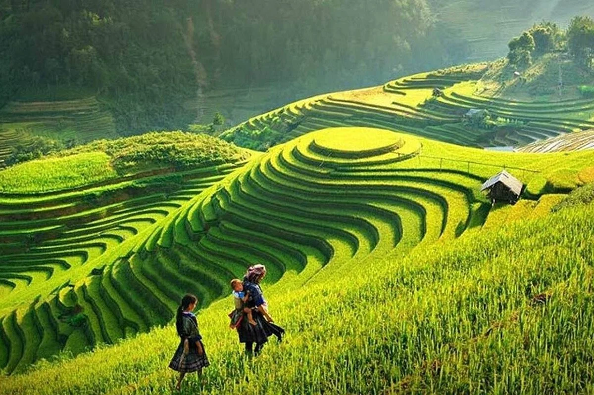 Tour Hà Nội - Sapa 2 ngày 1 đêm: Lịch trình khám phá trọn vẹn
