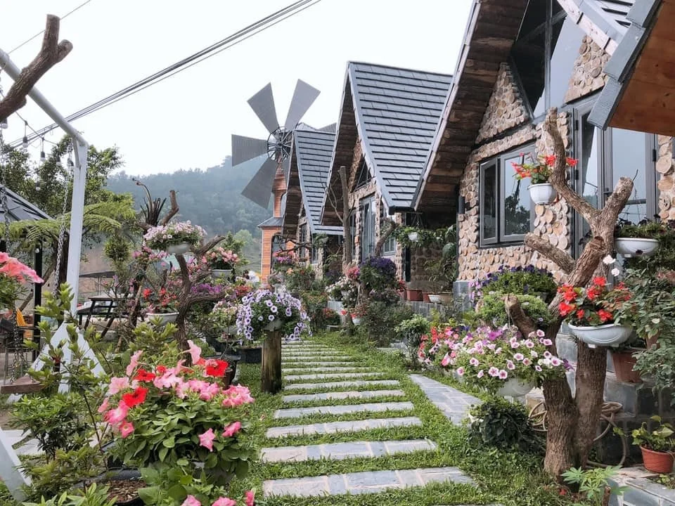 Top 10 khách sạn đẹp nhất Tam Đảo: Lưu trú đẳng cấp giữa biển mây ngàn