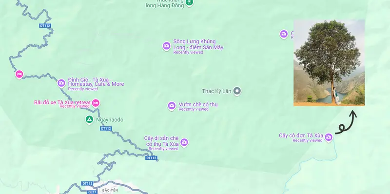 Cây cô đơn Tà Xùa: Vị trí, điểm nổi bật, kinh nghiệm du lịch & công ty uy tín