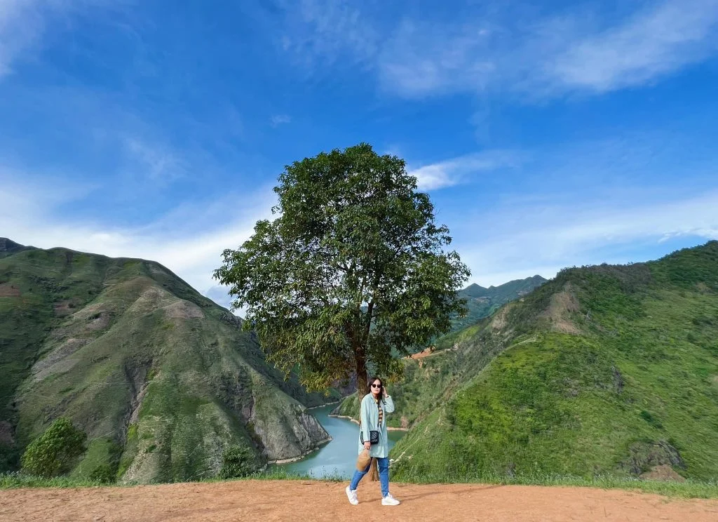 cay-co-don-ta-xua-1-2