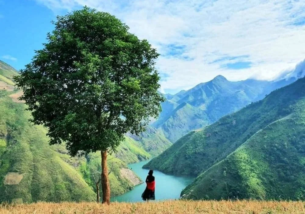 Mỏm cá Heo Tà Xùa: Vị trí, điểm nổi bật, kinh nghiệm du lịch & công ty uy tín