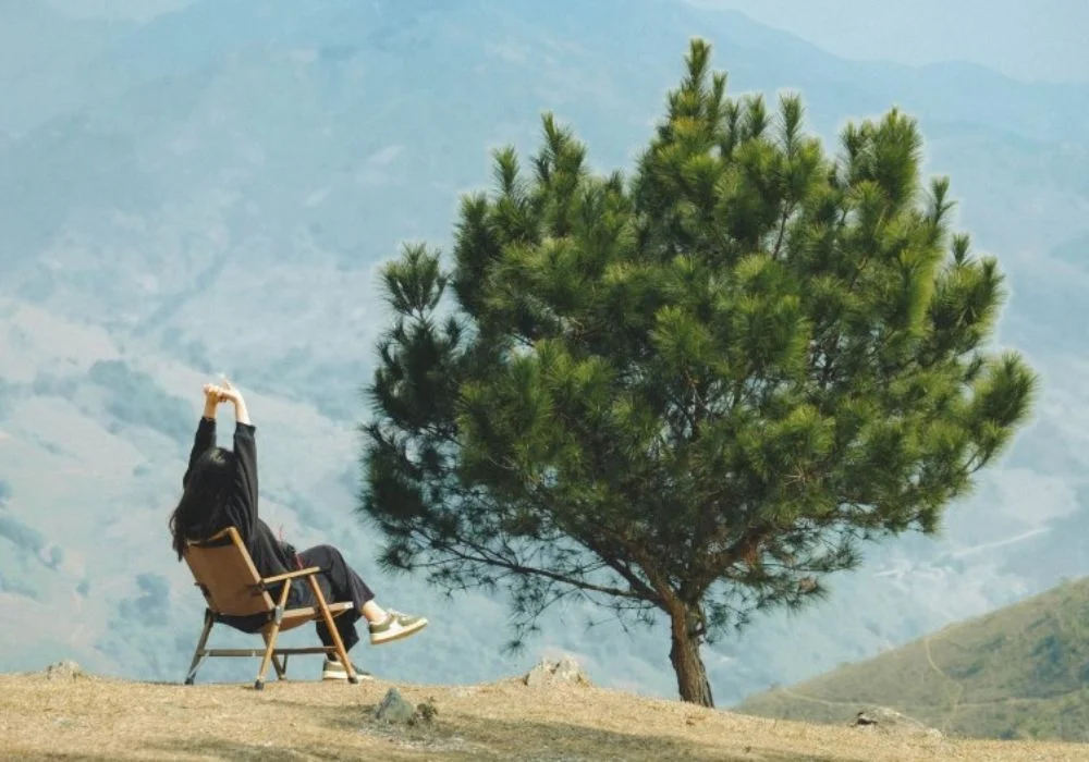 cay-co-don-ta-xua-6-3