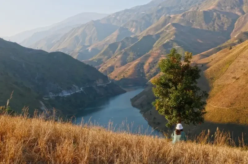 Cây cô đơn Tà Xùa: Vị trí, điểm nổi bật, kinh nghiệm du lịch & công ty uy tín