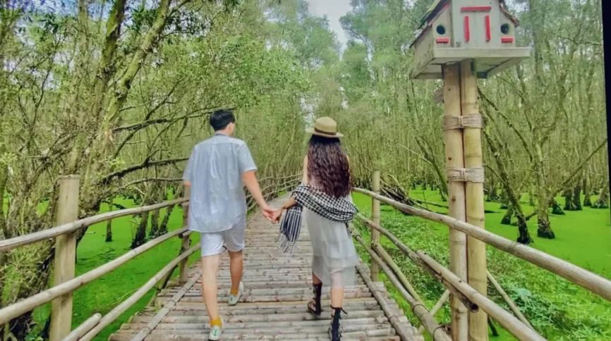 Cẩm nang du lịch rừng tràm Trà Sư 2026: Vị trí, điểm nổi bật, kinh nghiệm đi & đơn vị uy tín