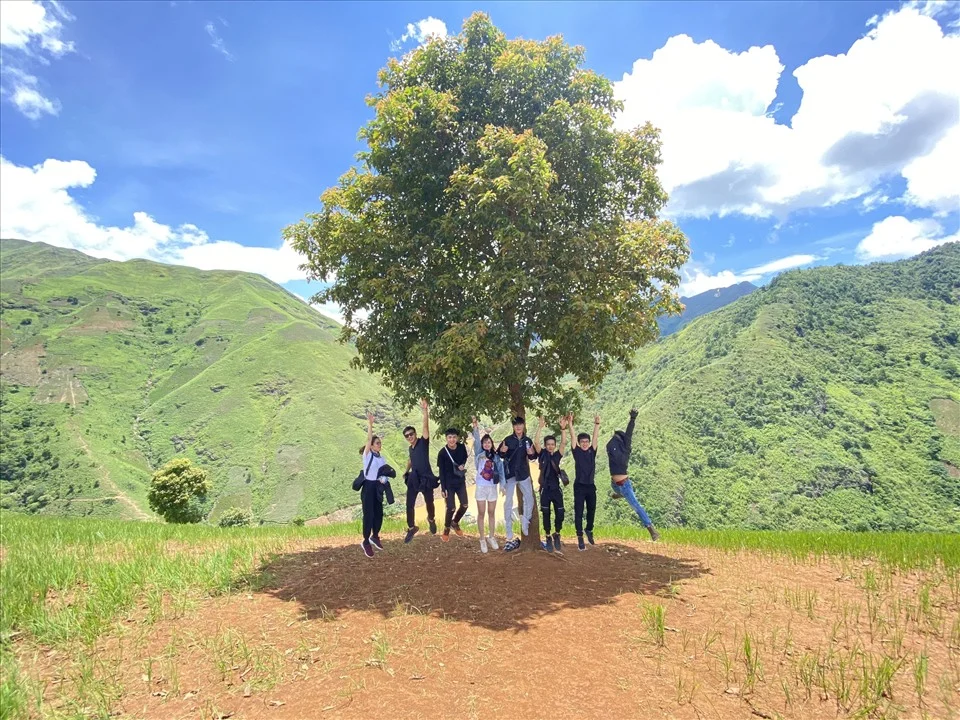 Cây cô đơn Tà Xùa: Vị trí, điểm nổi bật, kinh nghiệm du lịch & công ty uy tín