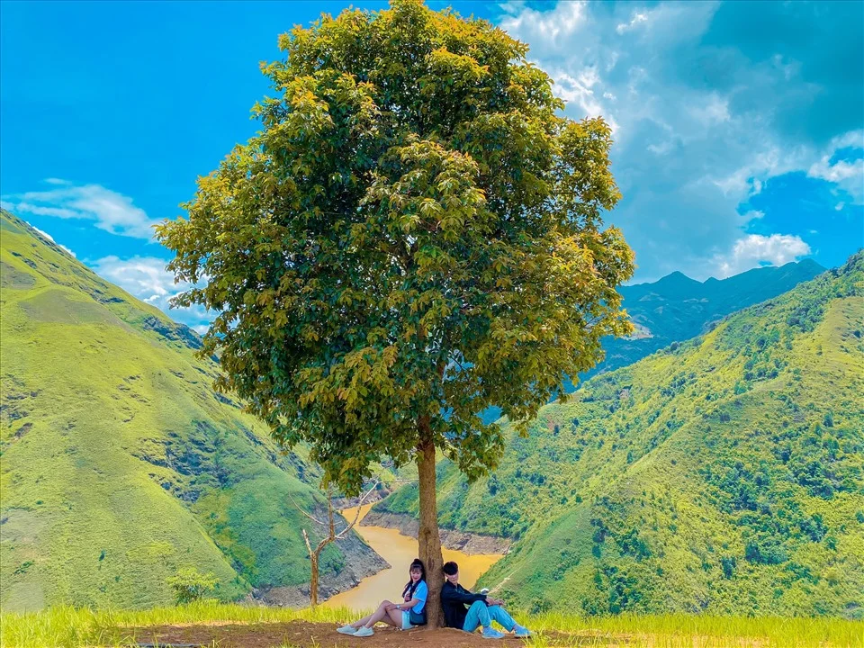 check-in-cay-co-don-ta-xua-2-1