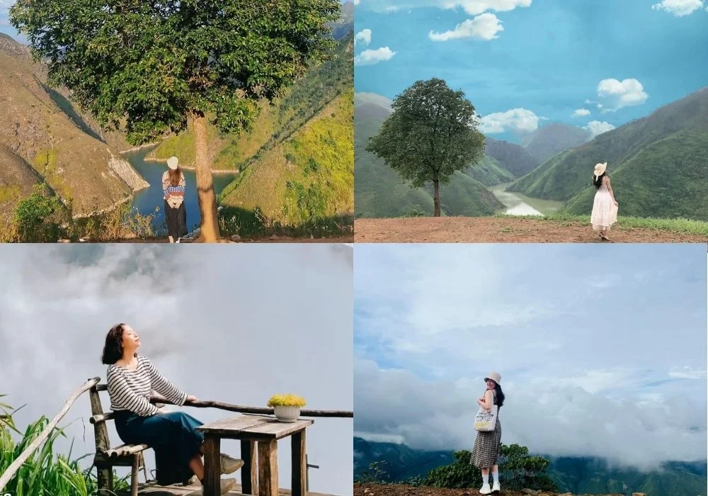 Cây cô đơn Tà Xùa: Vị trí, điểm nổi bật, kinh nghiệm du lịch & công ty uy tín