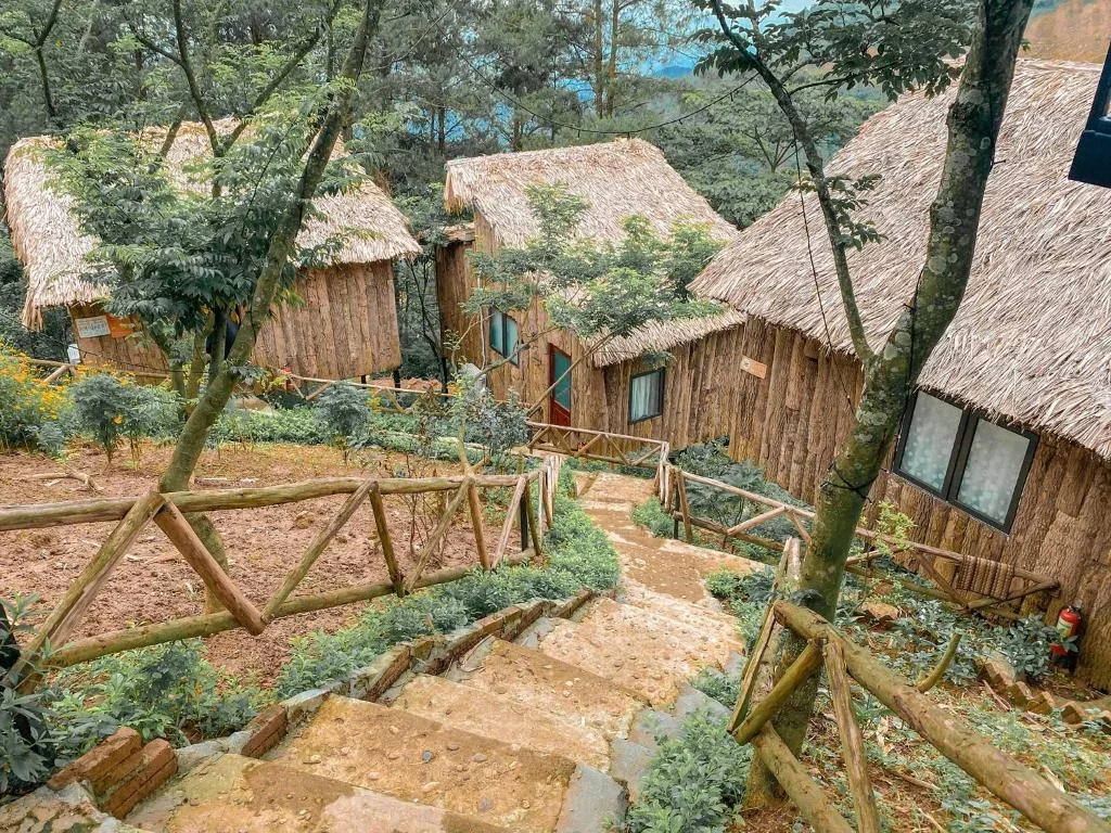 Top 10 khách sạn đẹp nhất Tam Đảo: Lưu trú đẳng cấp giữa biển mây ngàn