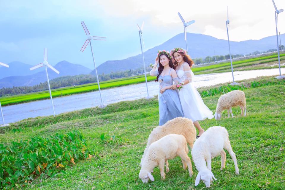 Tour Bình Hưng Vĩnh Hy 2 ngày 2 đêm: Đặc điểm, lịch trình, giá bán, kinh nghiệm và đơn vị tổ chức tour uy tín