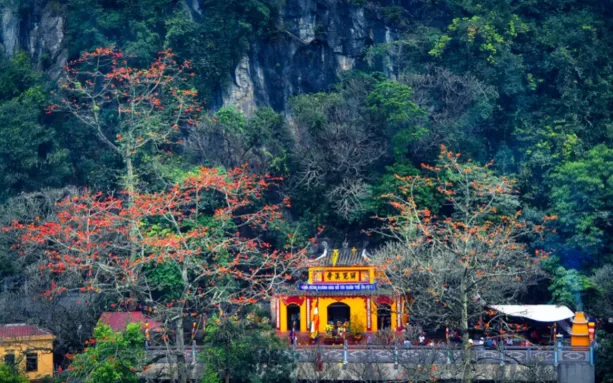 Địa điểm du lịch gần Hà Nội dịp Tết: Tổng hợp điểm đến, Kinh nghiệm du lịch, Tour Tết hot & Gợi ý đơn vị uy tín