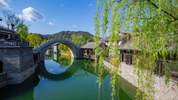 co-bac-thuy-tran-16-jpg