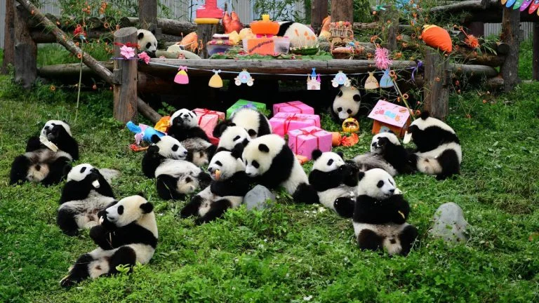 Tour Trung Quốc từ Hà Nội: Thời điểm lý tưởng, điểm tham quan, kinh nghiệm & gợi ý đặt tour