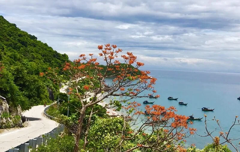 con-duong-hoa-ngo-dong