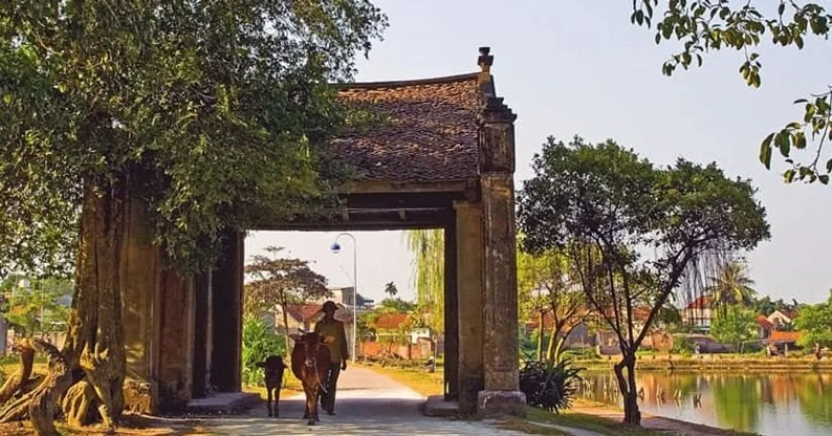 cong-lang-mong-phu-1