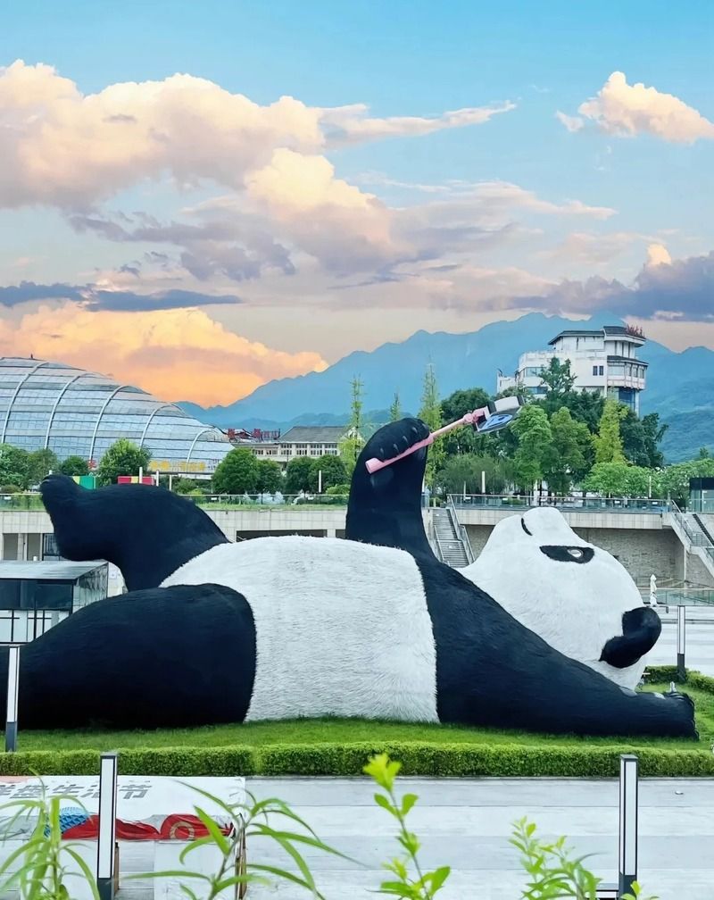 Công viên gấu trúc Thành Đô: Vị trí, điểm thu hút, kinh nghiệm du lịch và chọn tour