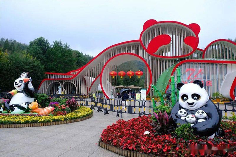 Công viên gấu trúc Thành Đô: Vị trí, điểm thu hút, kinh nghiệm du lịch và chọn tour
