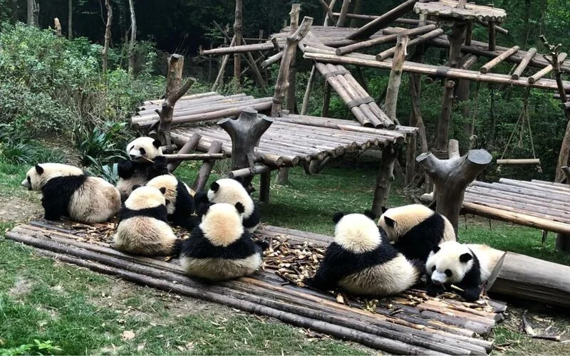 cong-vien-gau-truc-do-giang-yen-2