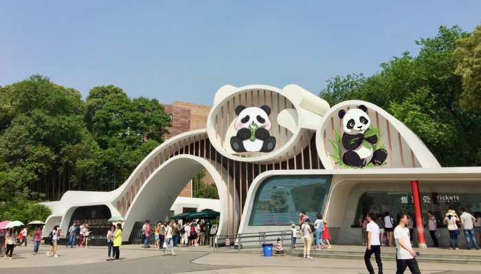 Tour Trung Quốc 6N5Đ: Hà Nội – Thành Đô - Công Viên Gấu Trúc – Trang Viên Mạn Hoa - Cửu Trại Câu – Lạc Sơn Đại Phật 11 cong-vien-gau-truc-thanh-do-15-1