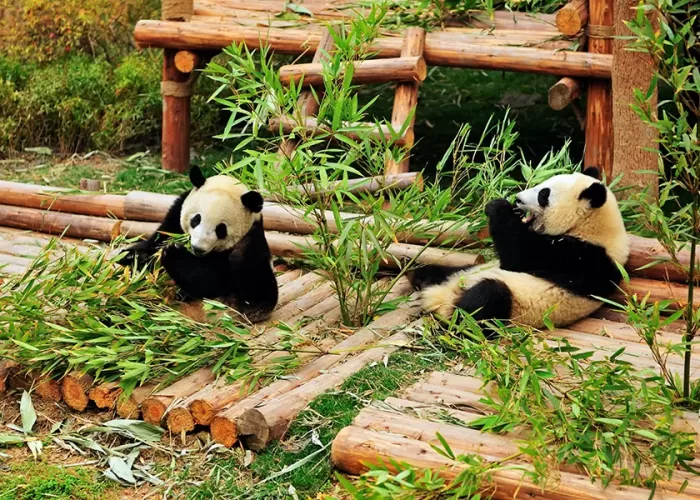 bao-gia-tour-thanh-do-cuu-trai-cau-tron-goi-tu-tphcm-chi-tiet-hien-nay-la-bao-nhieu