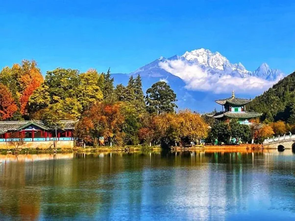 cong-vien-hac-long-dam-2