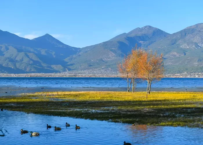 cong-vien-la-thi-hai-1