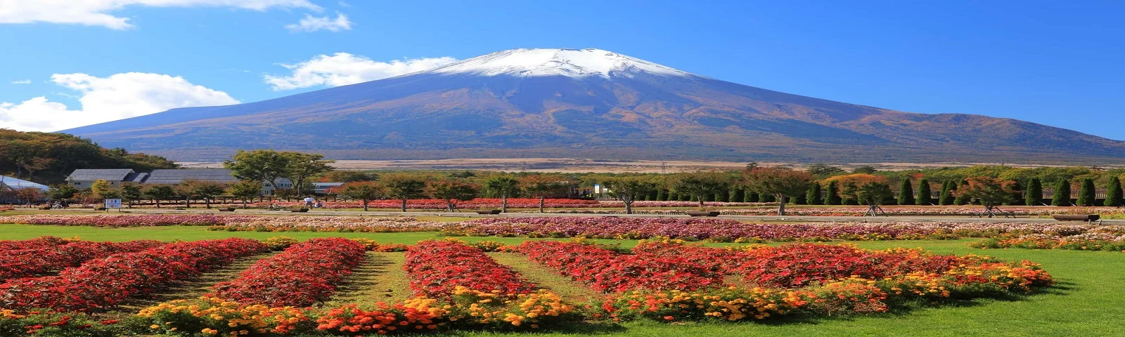 Điểm danh những địa điểm tham quan gần núi Phú Sĩ đẹp quên lối về