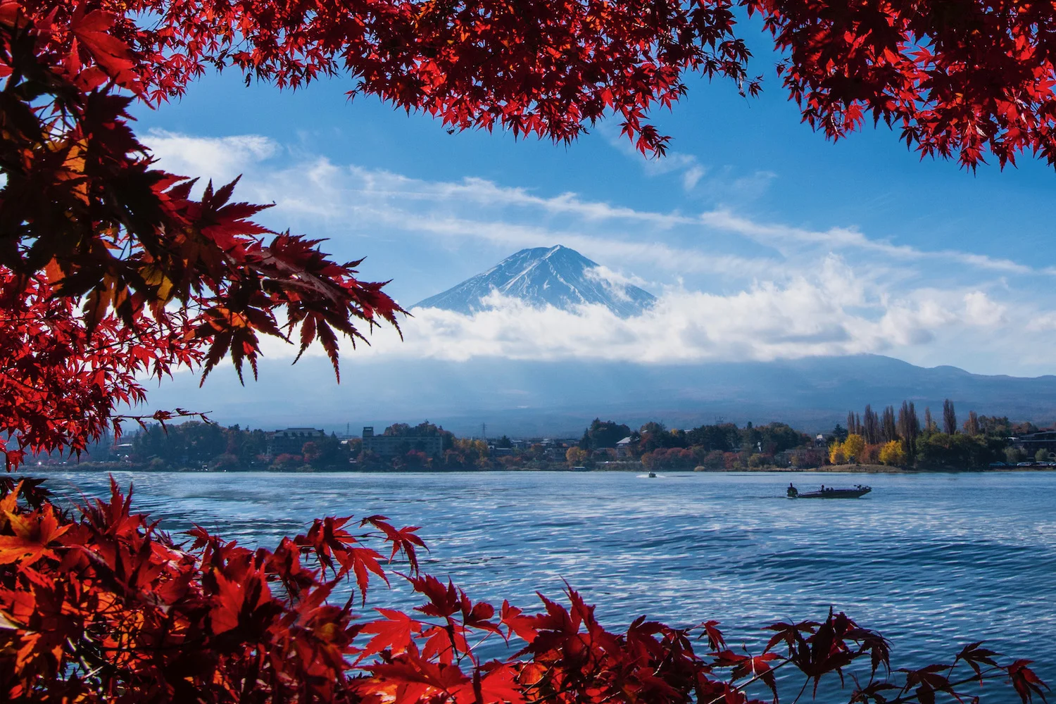 kinh-nghiem-song-con-khi-chon-tour-nhat-ban