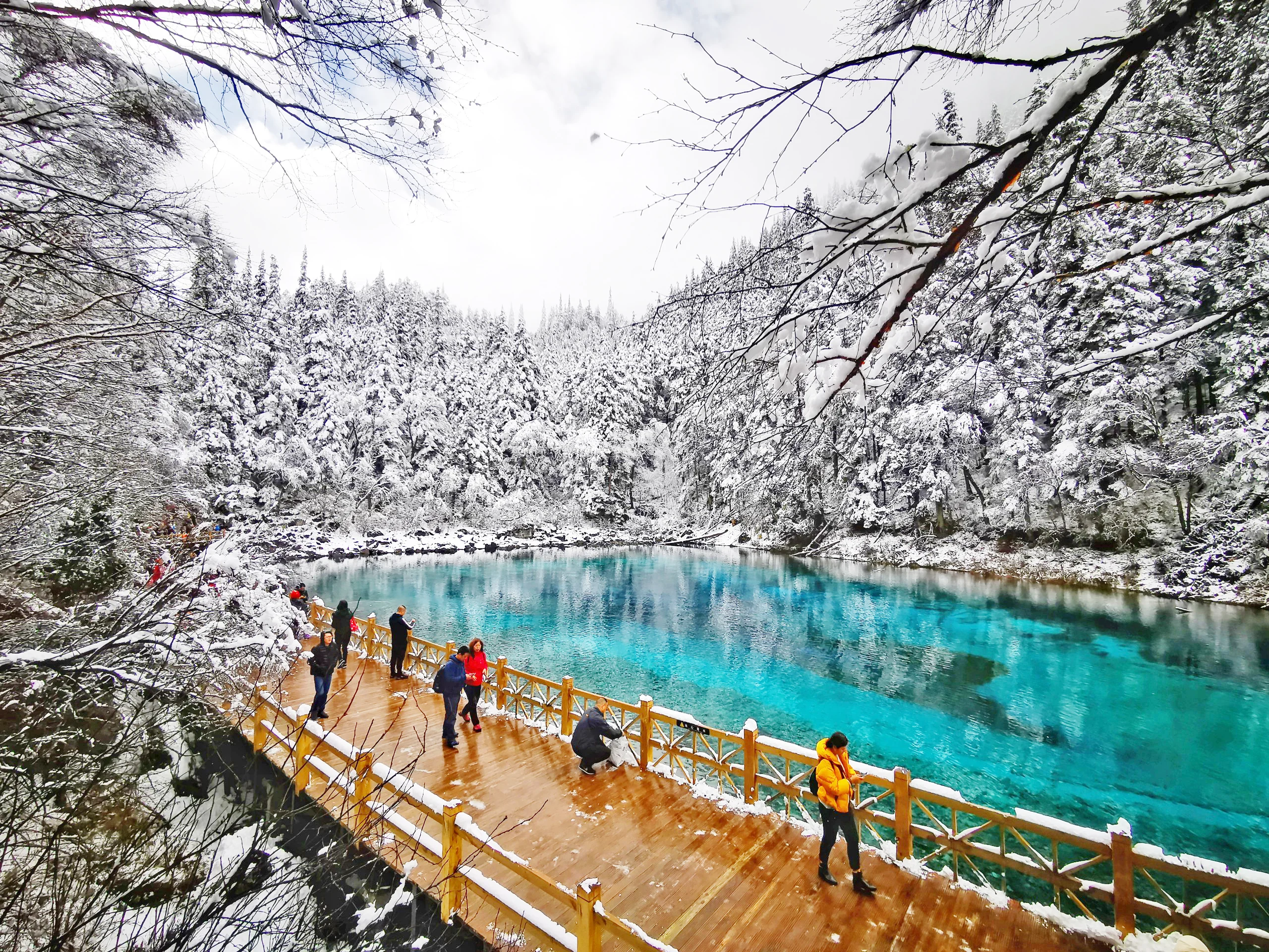 bao-gia-tour-cuu-trai-cau-2026-va-cac-dich-vu-bao-gom