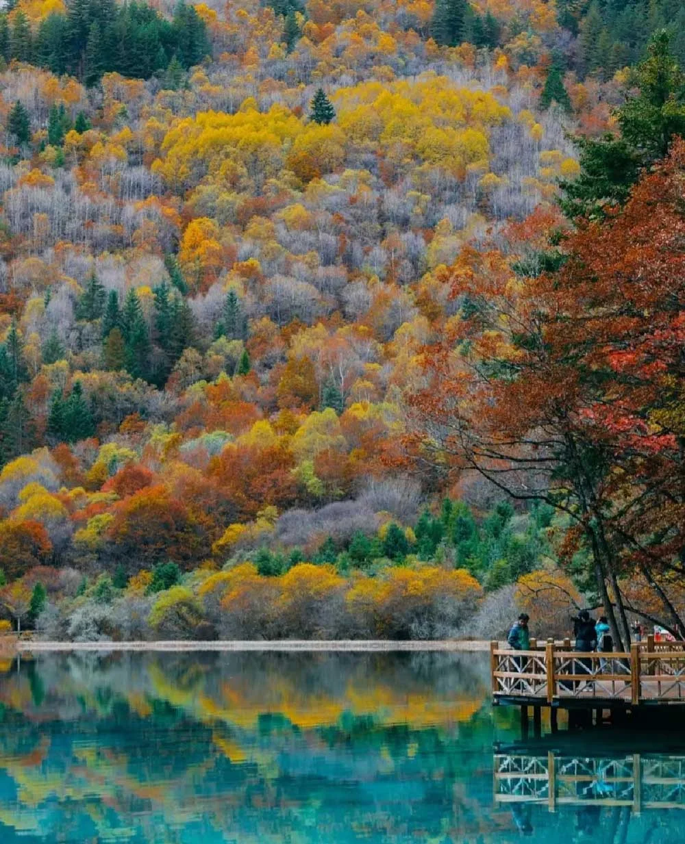 cuu-trai-cau-mua-thu