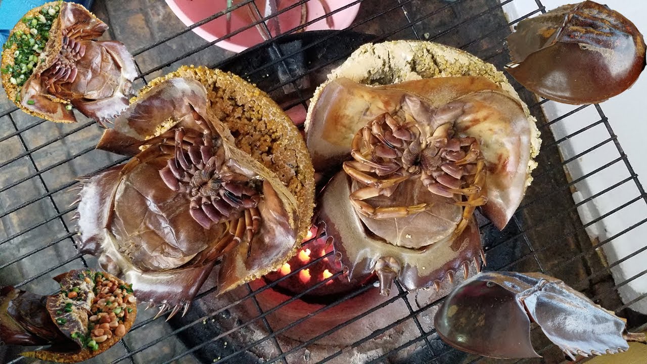 dac-san-ha-long-sam-bien