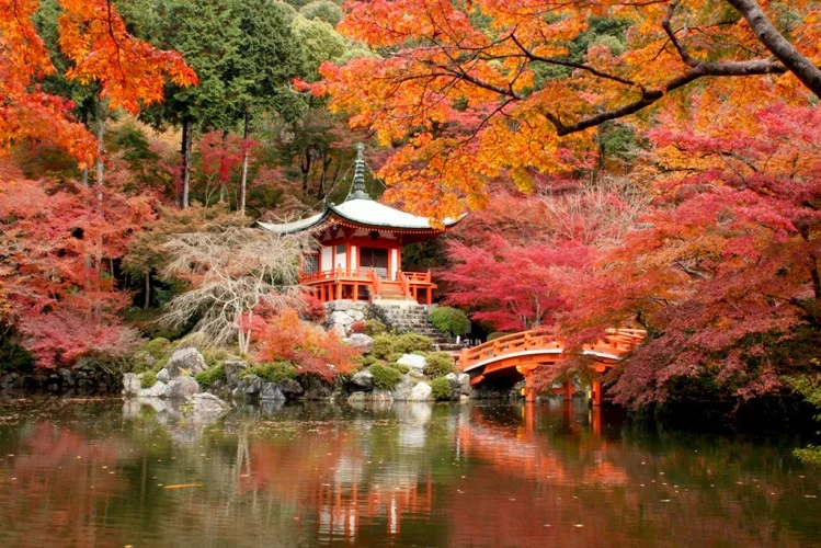 daigoji-temple-750-500