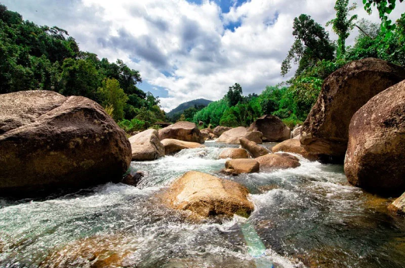 Kinh nghiệm đi Đồi cừu Vĩnh Hy: Giá vé, đường đi & 1001 góc check-in "triệu like"