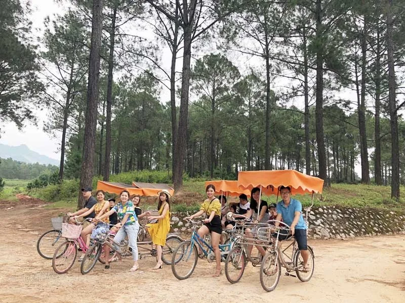 Rừng thông bản Áng: Mùa đẹp nhất, các điểm check in, kinh nghiệm chụp ảnh và lựa chọn tour