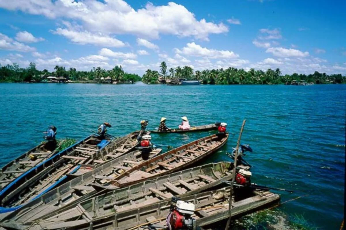 tu-linh-con-long-lan-quy-phung-tien-giang-ben-tre