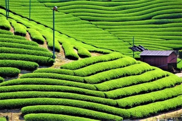 Điểm danh những địa điểm tham quan gần núi Phú Sĩ đẹp quên lối về