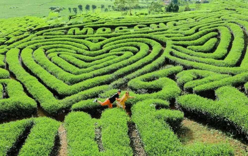 Tour du lịch Tết âm lịch: Tổng hợp tour, Giá tour, Kinh nghiệm du lịch & Gợi ý đơn vị uy tín