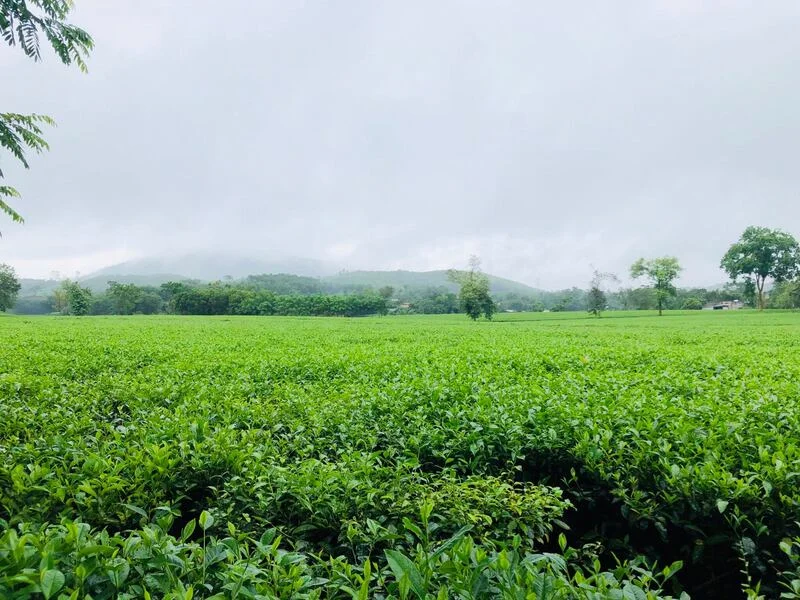 Trốn Cảnh Vào Thiên Đường Nghỉ Dưỡng 5 Sao Wyndham Thanh Thủy