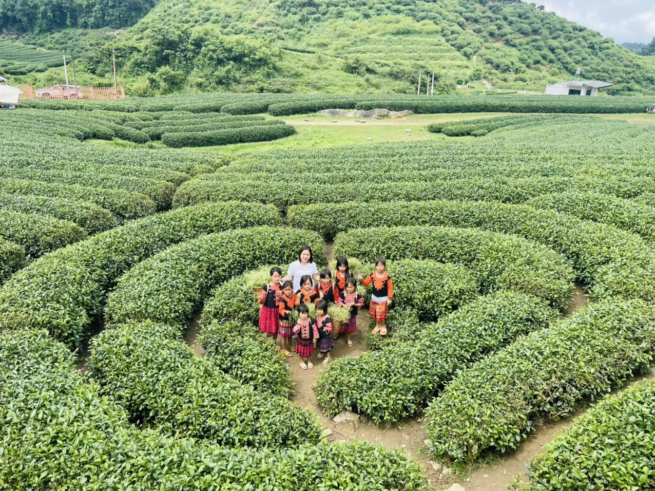 Kinh nghiệm du lịch Mộc Châu từ A-Z: Mặc gì, Ăn gì, Chơi gì, Ở đâu và Lưu ý sống còn