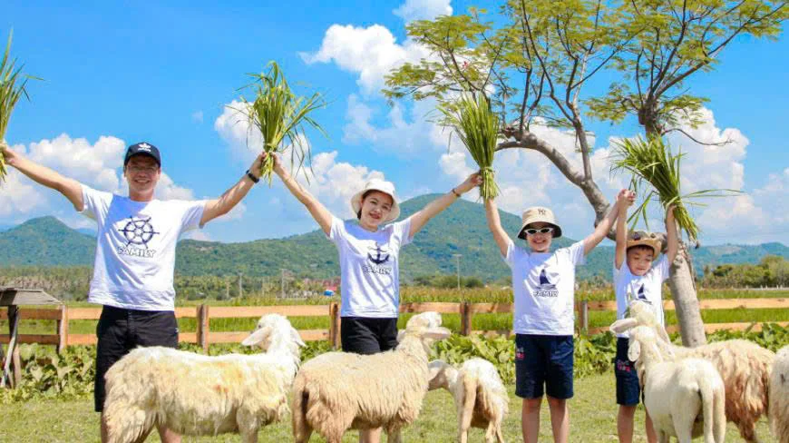 Kinh nghiệm đi Đồi cừu Vĩnh Hy: Giá vé, đường đi & 1001 góc check-in "triệu like"