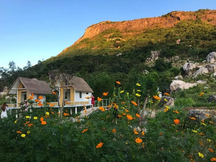 Kinh nghiệm đi Đồi cừu Vĩnh Hy: Giá vé, đường đi & 1001 góc check-in "triệu like"