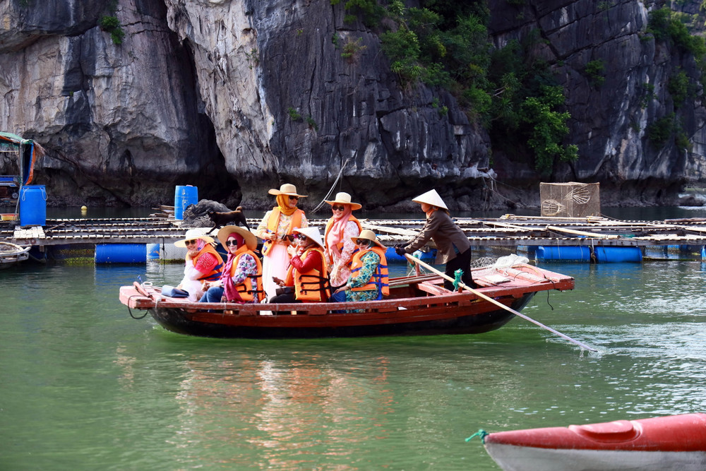 du lịch Hạ Long tự túc 5