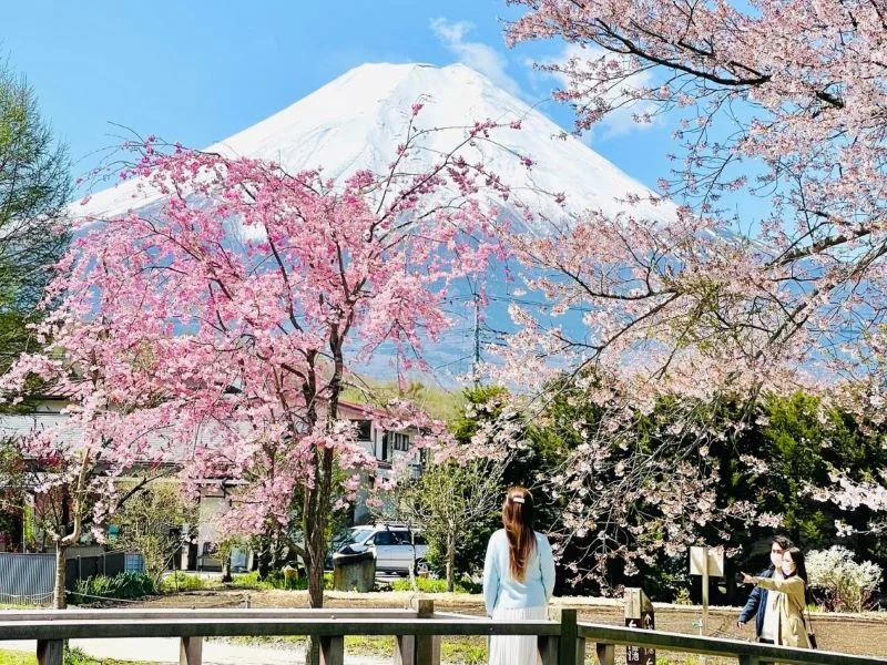 Kinh nghiệm du lịch cung đường vàng Nhật Bản: Ăn gì, Chơi gì, Ở đâu, Kinh nghiệm du lịch & Đơn vị uy tín