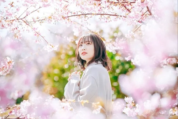 bao-gia-va-chinh-sach-tour-chi-tiet